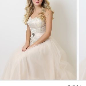 PRICE DROP!!! Beautiful gown